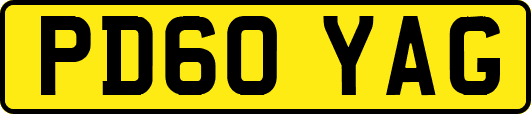 PD60YAG