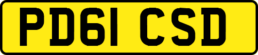 PD61CSD