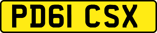 PD61CSX