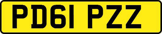 PD61PZZ