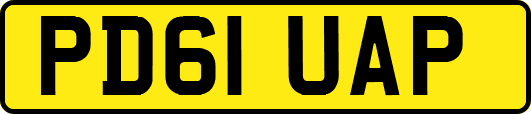 PD61UAP