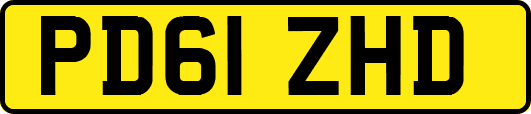 PD61ZHD