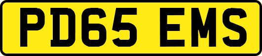 PD65EMS