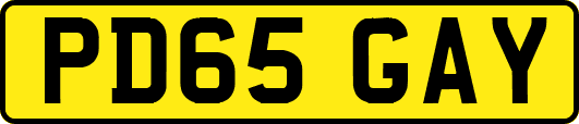 PD65GAY