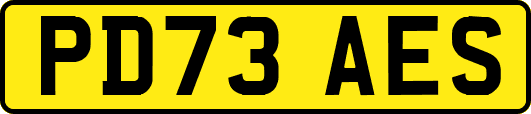 PD73AES