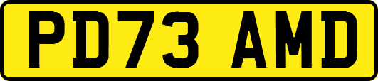 PD73AMD