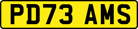 PD73AMS