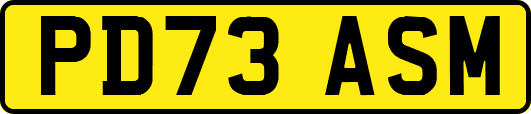 PD73ASM