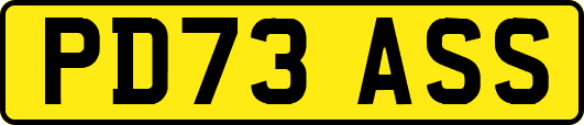 PD73ASS