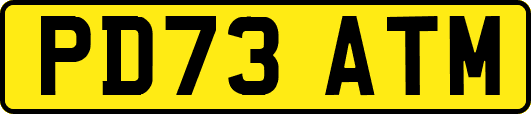 PD73ATM