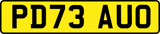 PD73AUO