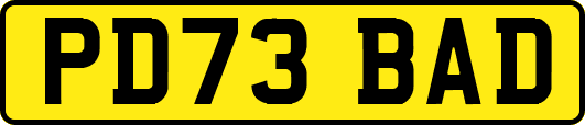PD73BAD
