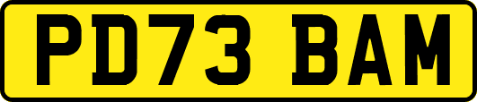 PD73BAM