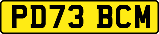 PD73BCM