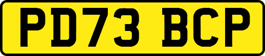 PD73BCP