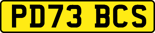 PD73BCS