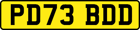 PD73BDD
