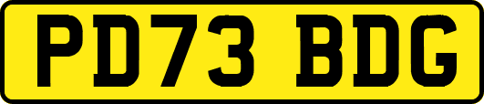 PD73BDG