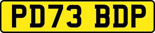 PD73BDP
