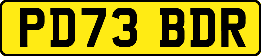 PD73BDR