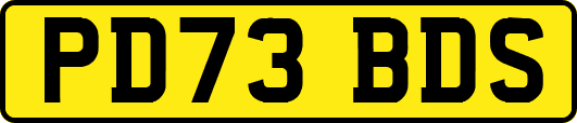 PD73BDS