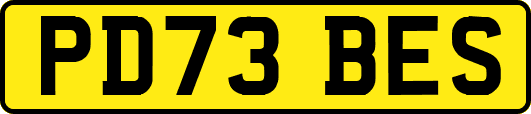 PD73BES