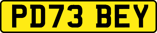 PD73BEY