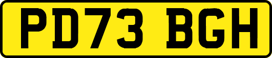PD73BGH