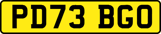 PD73BGO