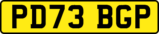 PD73BGP