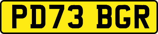 PD73BGR