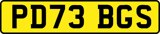 PD73BGS