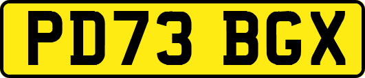PD73BGX