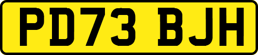 PD73BJH