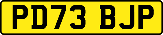 PD73BJP