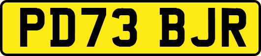 PD73BJR