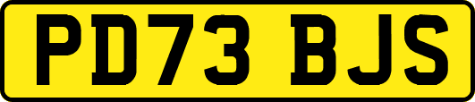 PD73BJS