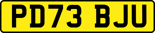 PD73BJU