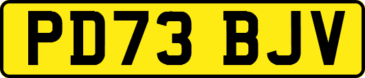 PD73BJV