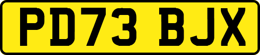 PD73BJX