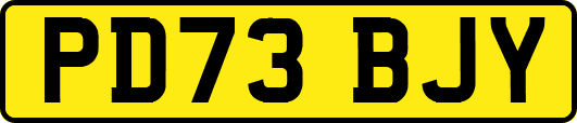 PD73BJY