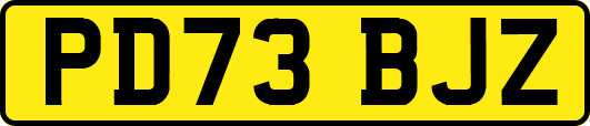 PD73BJZ