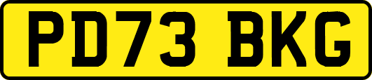 PD73BKG