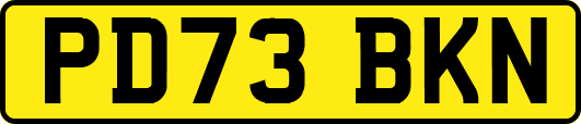 PD73BKN