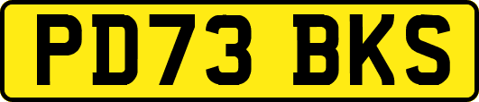 PD73BKS