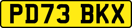 PD73BKX