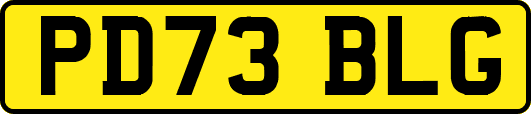 PD73BLG