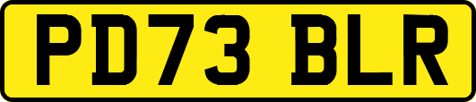 PD73BLR