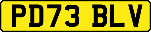 PD73BLV