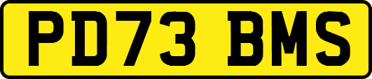 PD73BMS